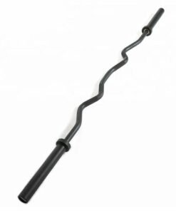 Black Olympic EZ Curl Bar