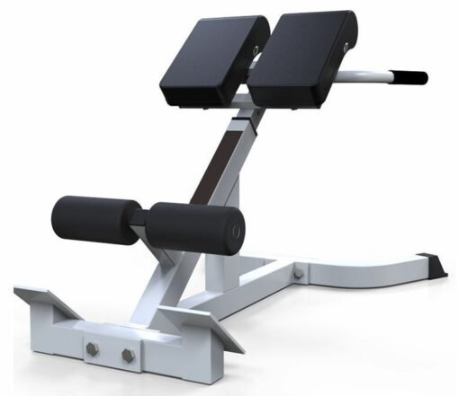 Multi-Functional Back Extension Bench