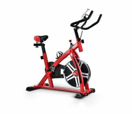 Indoor Cycling Bike for Weight Loss