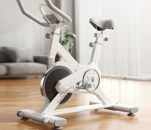 Home Exercise Spin Sport Bike