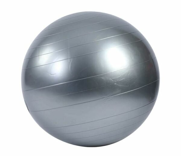 Yoga Ball-gofitstrength